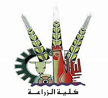صورة القسم